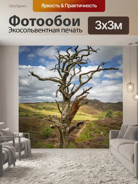 Фотообои Деревья