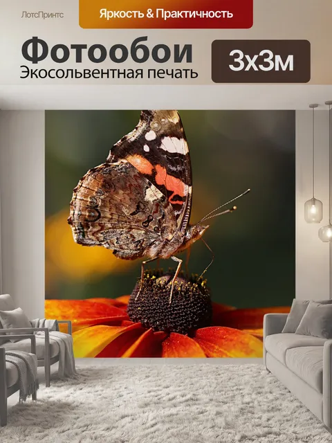 Фотообои Бабочка