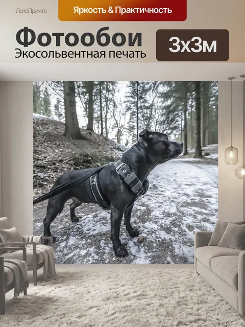 Фотообои Лес