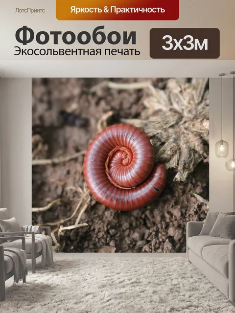 Фотообои Животное