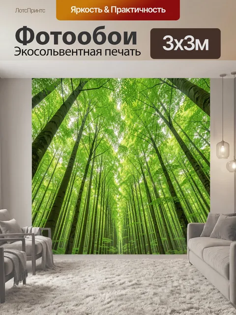 Фотообои Зелёный лесной коридор