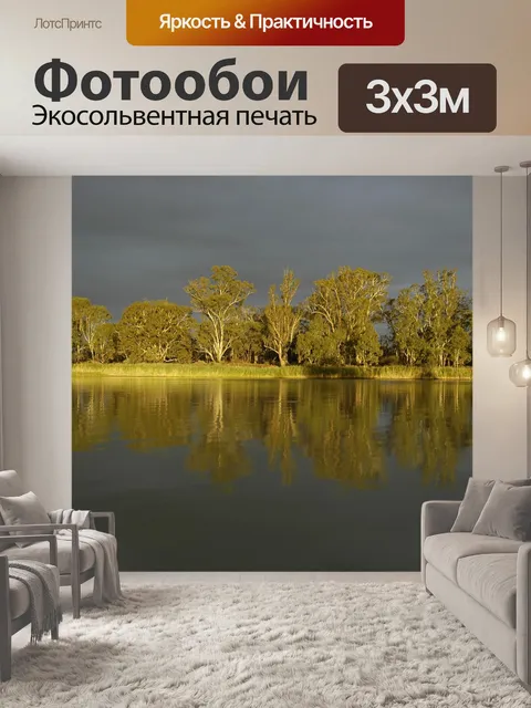 Фотообои Деревья