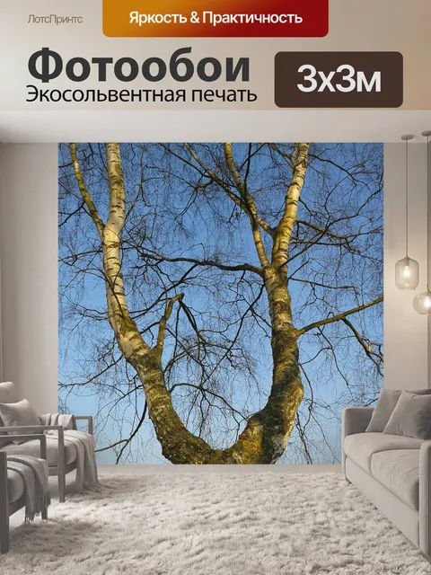 Фотообои Дерево