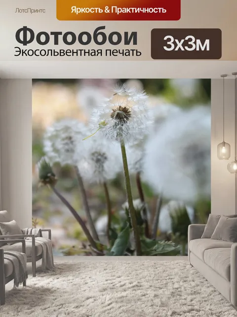 Фотообои Одуванчики