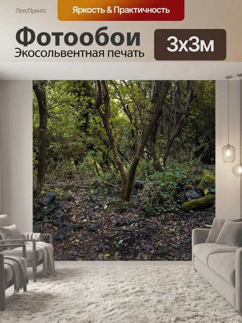 Фотообои Темный