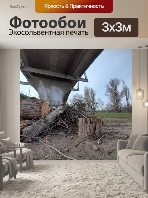 Фотообои Деревья смерти 2