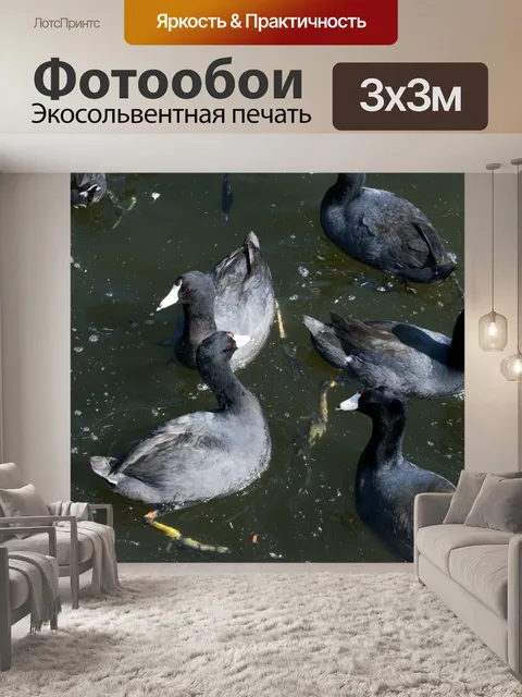 Фотообои Плавание