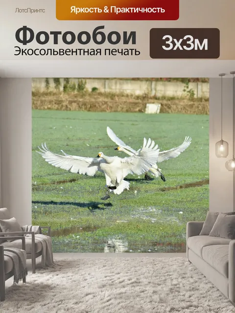 Фотообои Животное