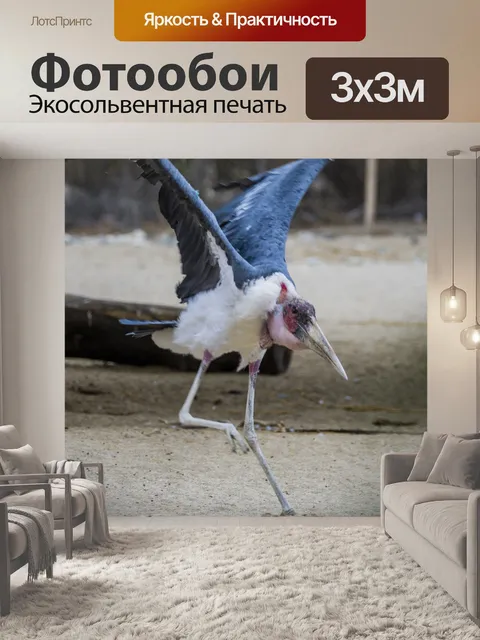 Фотообои аист