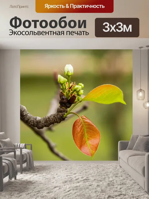 Фотообои Цветы
