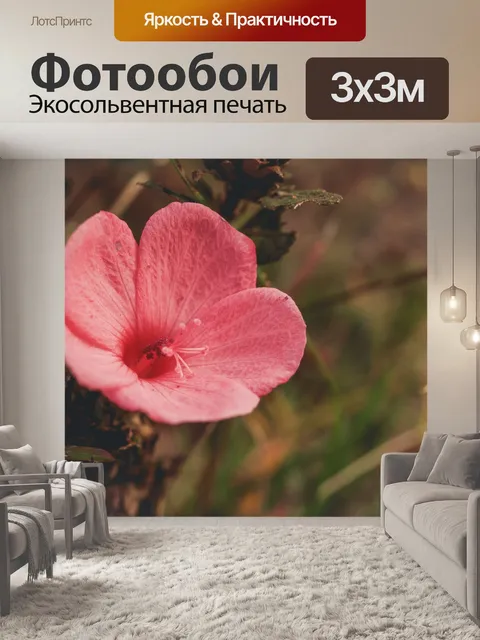 Фотообои фон маленький полевой цветок