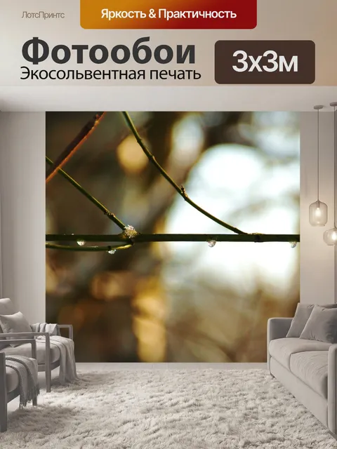 Фотообои Ветвь