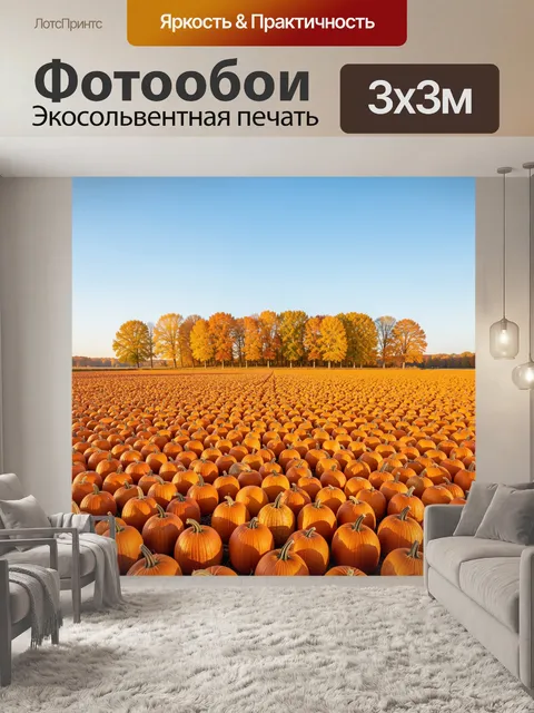 Фотообои Тыквенное поле с осенними деревьями