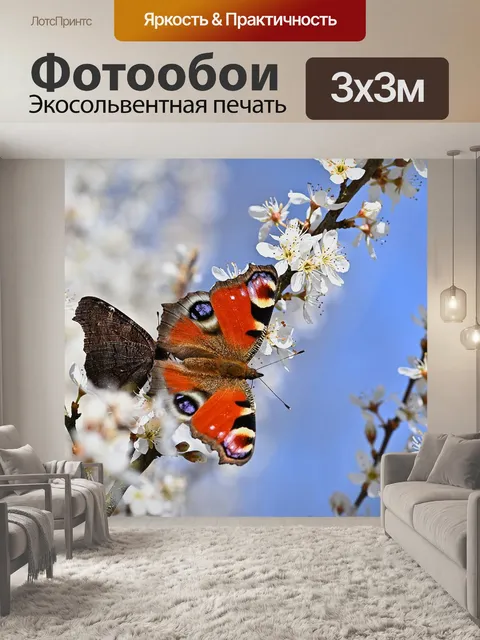 Фотообои Бабочки
