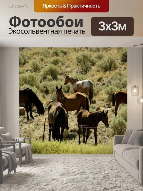 Фотообои Лошади