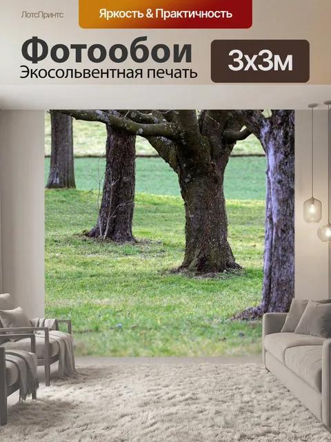 Фотообои Фруктовый сад