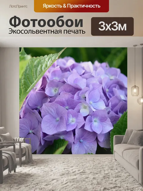 Фотообои Цветок