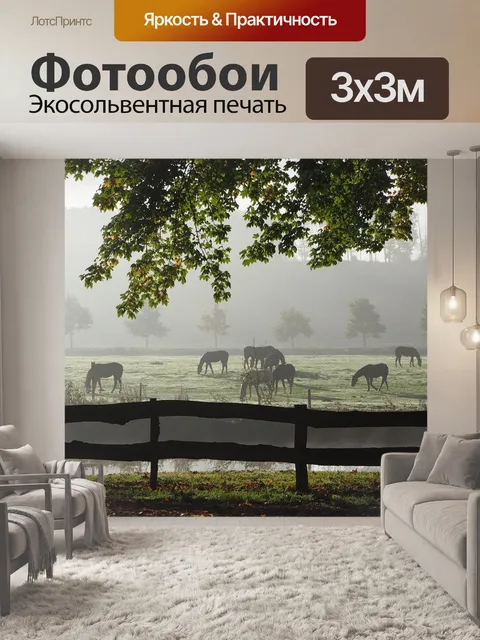 Фотообои Туман