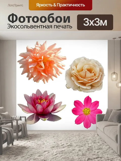 Фотообои Изолированные цветок Клипарт