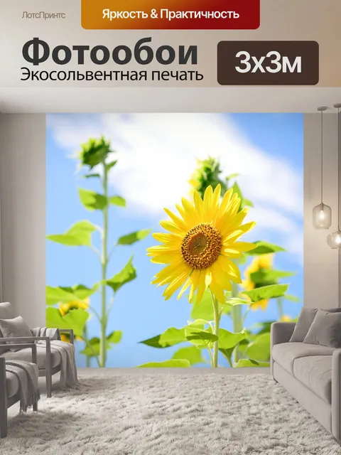 Фотообои Цветы