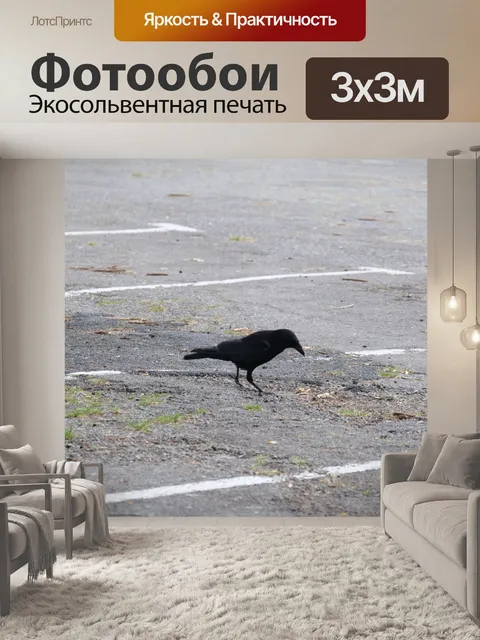 Фотообои Городская фауна