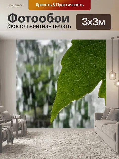 Фотообои Лист