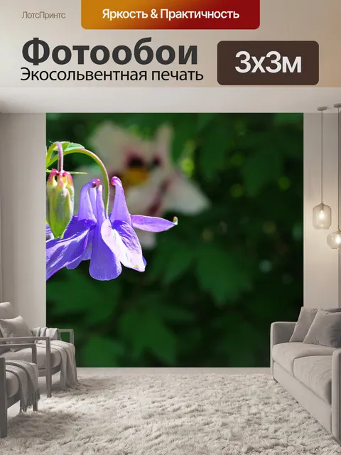 Фотообои Цветы