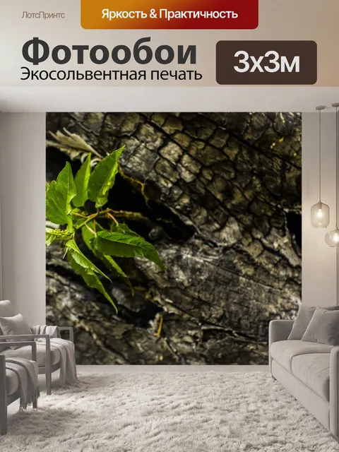 Фотообои Природа