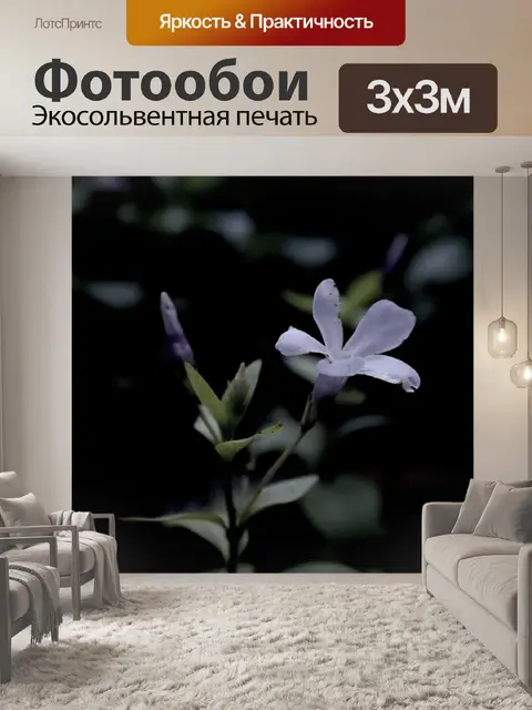 Фотообои Природа