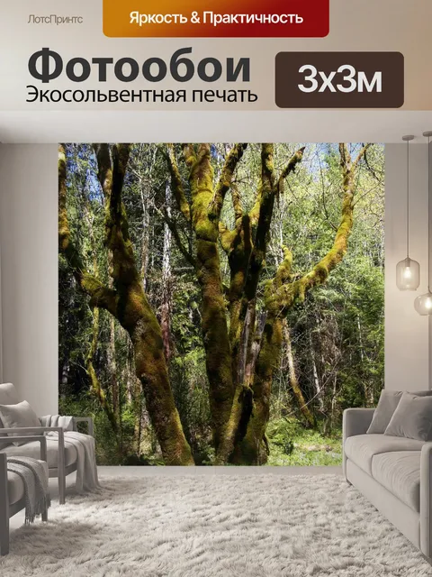 Фотообои Лес