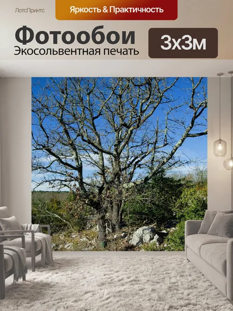Фотообои Мертвое дерево