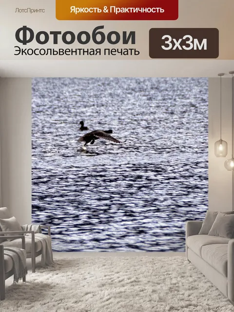 Фотообои Взлет Луны из озера