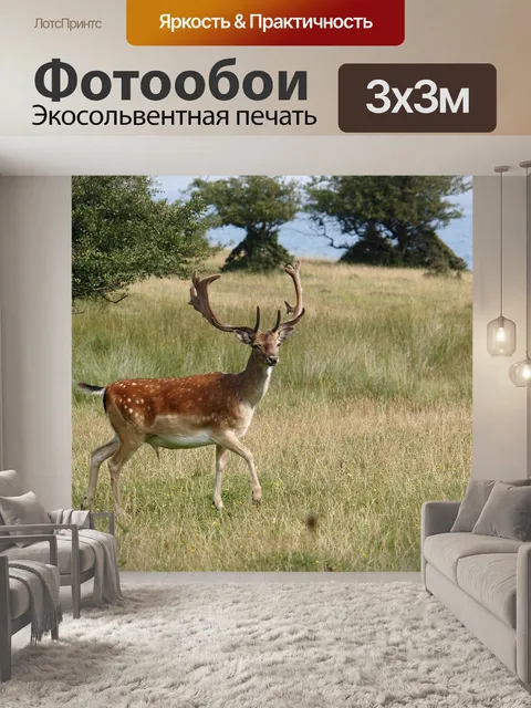 Фотообои Ромсё