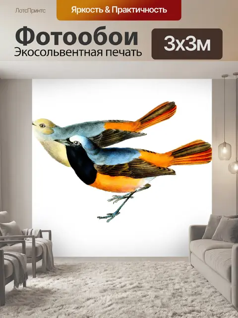 Фотообои Птицы Винтаж Красочное Искусство