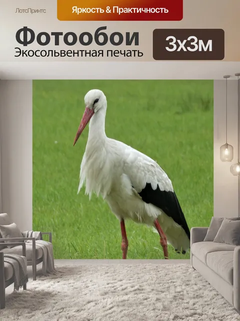Фотообои Аист