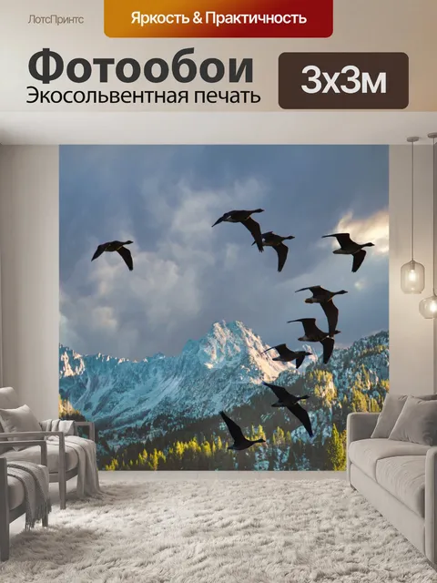 Фотообои Гуси