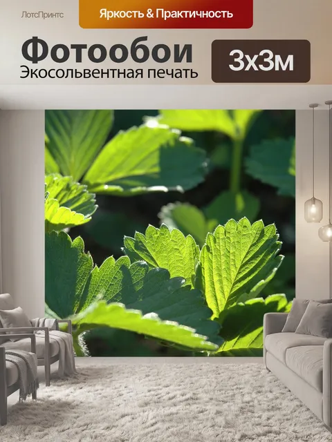 Фотообои Клубника