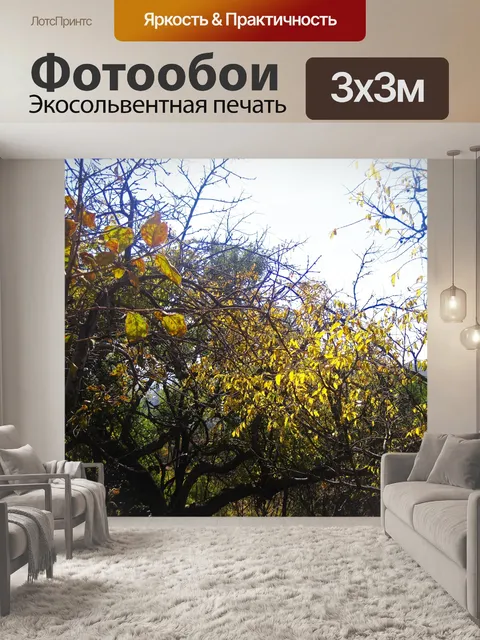 Фотообои пожелтение листьев на деревьях