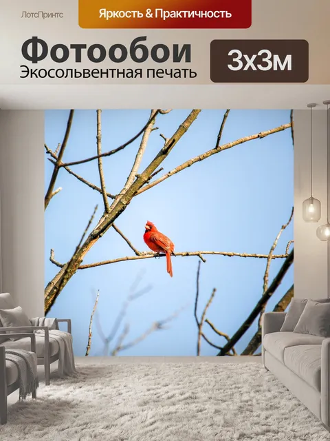 Фотообои Дерево