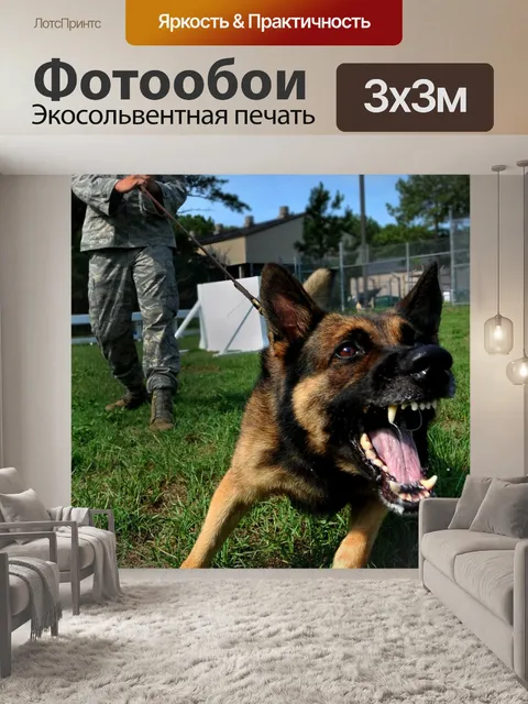 Фотообои Собака