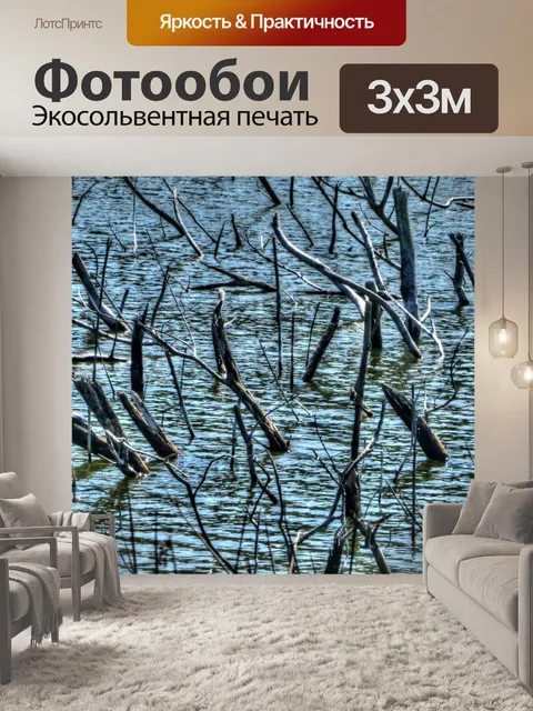 Фотообои Палочки в воде