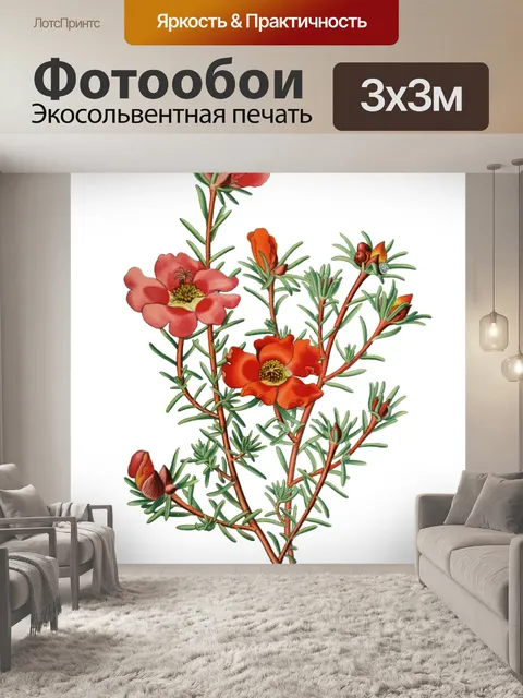 Фотообои Винтажный клипарт арт цветы