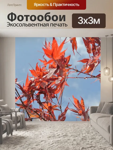 Фотообои Листья