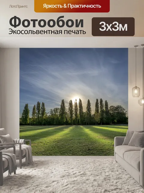 Фотообои Деревья