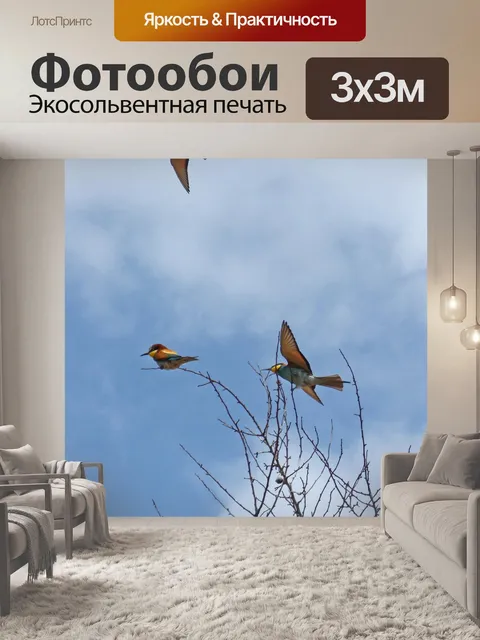Фотообои Птица