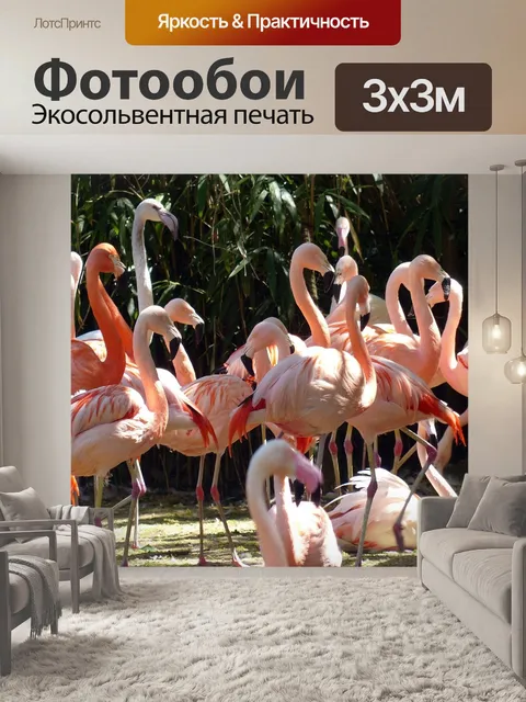 Фотообои Фламинго