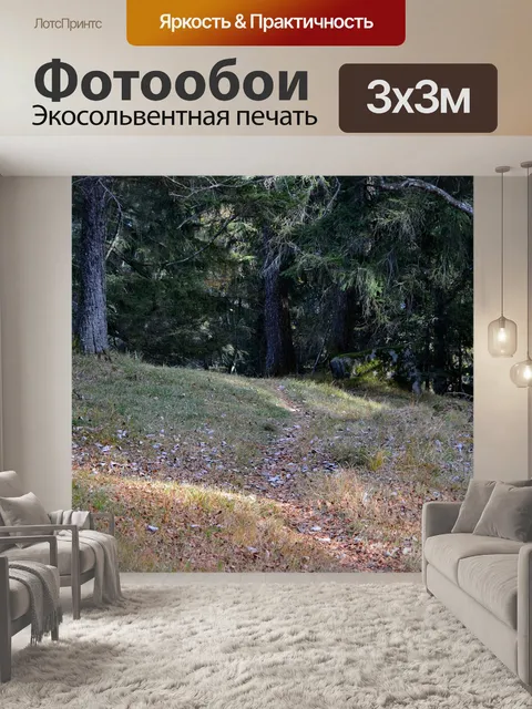 Фотообои Лесная тропа