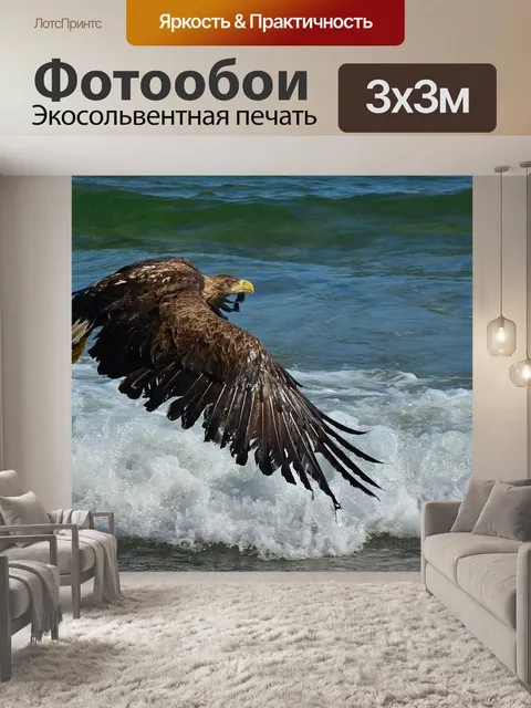 Фотообои Орлан-белохвост