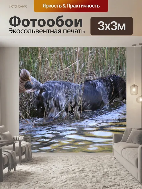 Фотообои Озеро