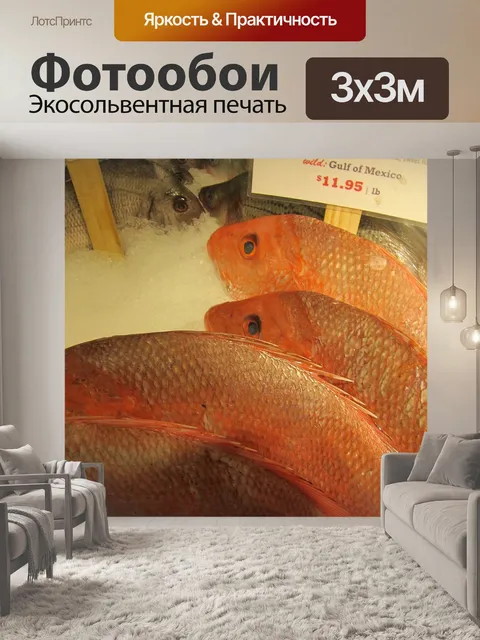 Фотообои Рыбы